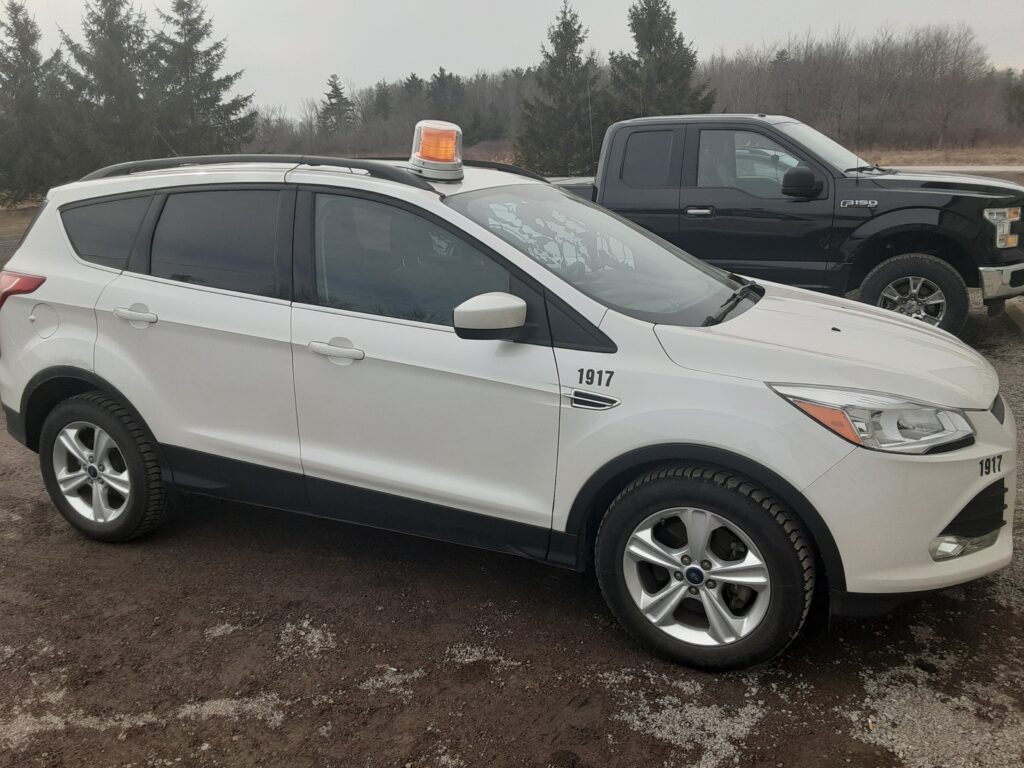 2015 FORD Escape SE